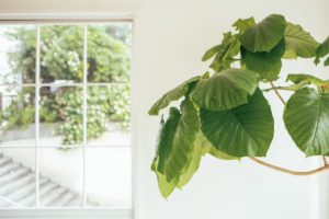 「静岡県浜松市　盗聴器発見調査」