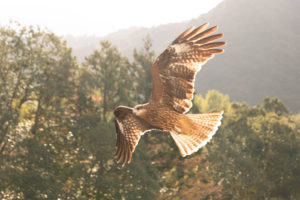 [浜松　浮気調査]　浮気をされても感謝しかない